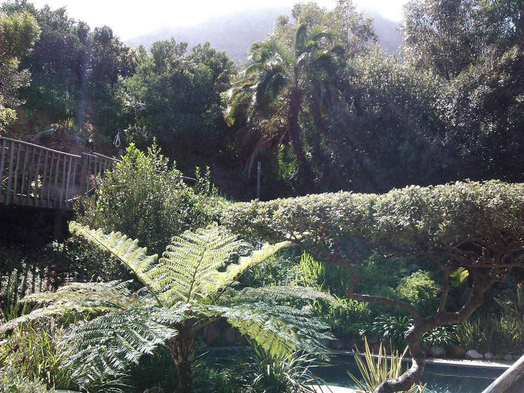 Hotel Hout Bay Hideaway Habitación foto